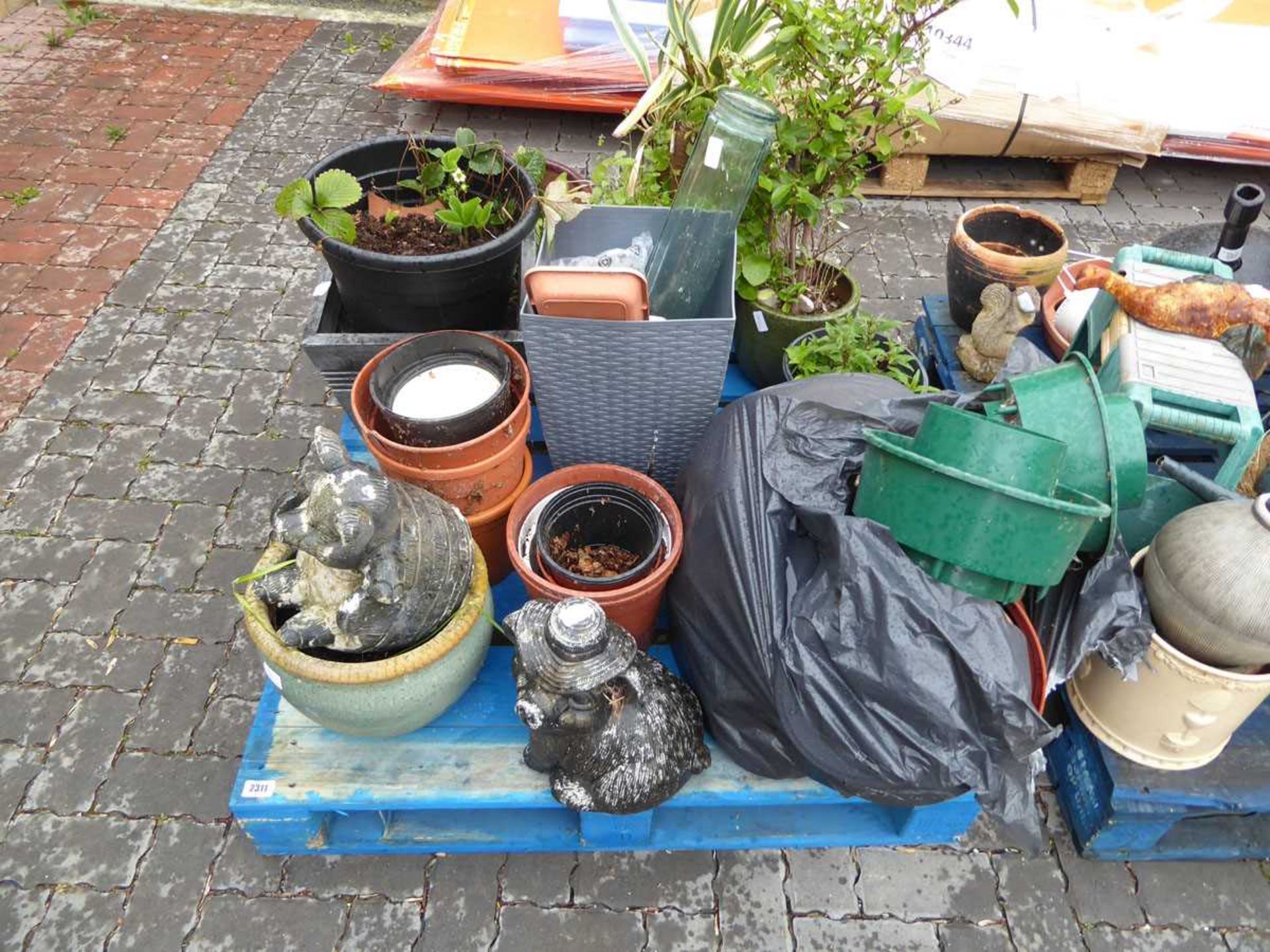 Pallet containing mixed garden related items incl. 2 concrete pig ornaments, various plants, pots,