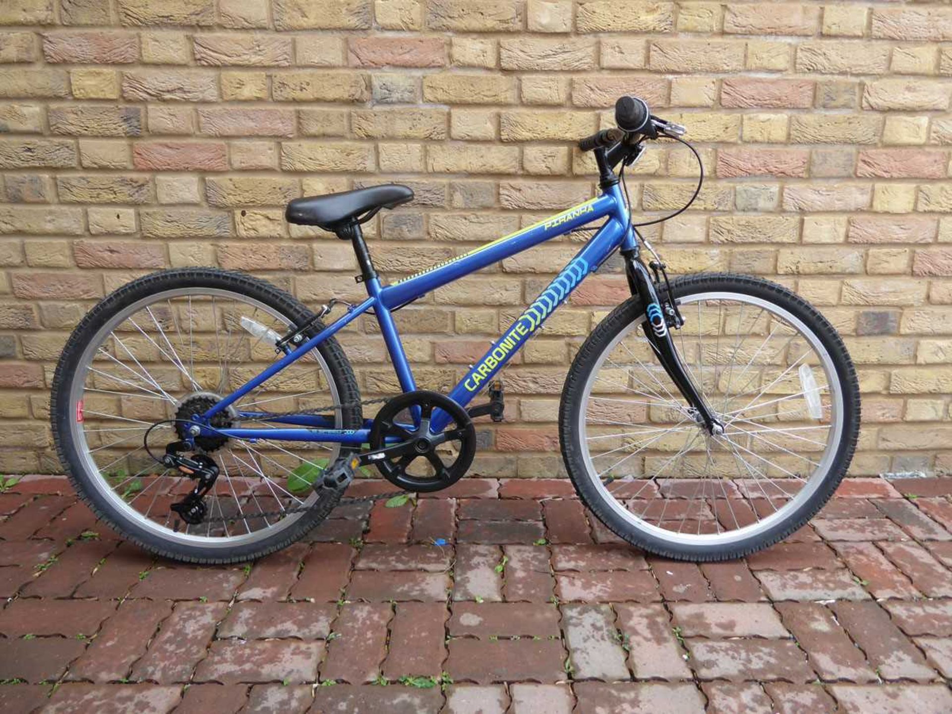 Boys Piranha Carbonite mountain bike in blue