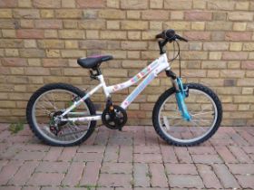 +VAT Girls Schwinn floral themed mountain bike