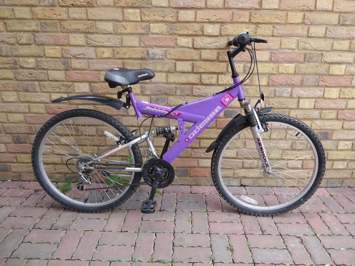 Girls Odessa mountain bike in purple