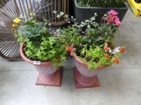 Pair of pedestals containing mixed plants