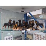 Collection of approx. 12 rottweiler models