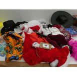+VAT Fancy dress costumes and accessories