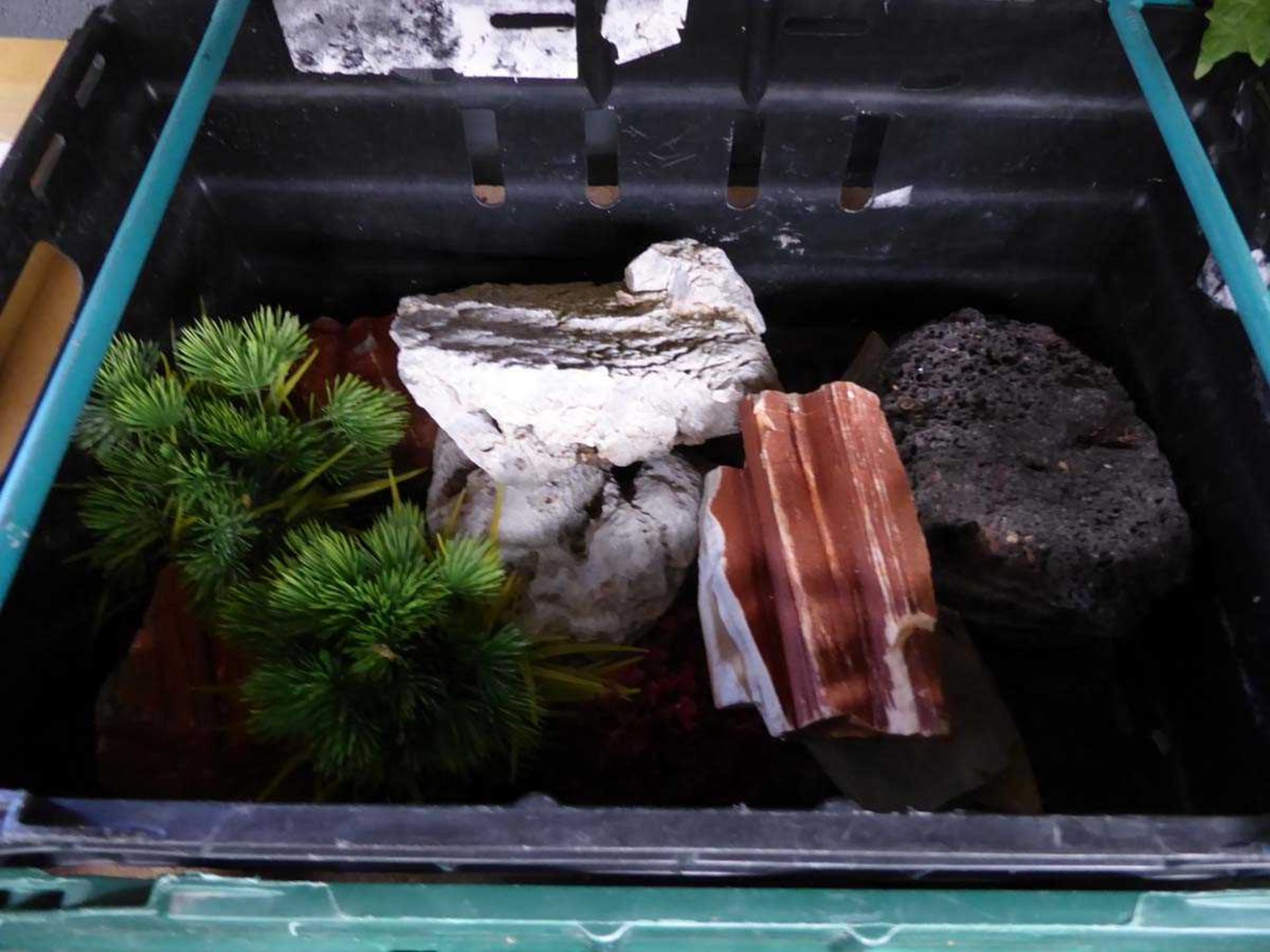 2 trays of aquarium rocks and plants - Image 3 of 3