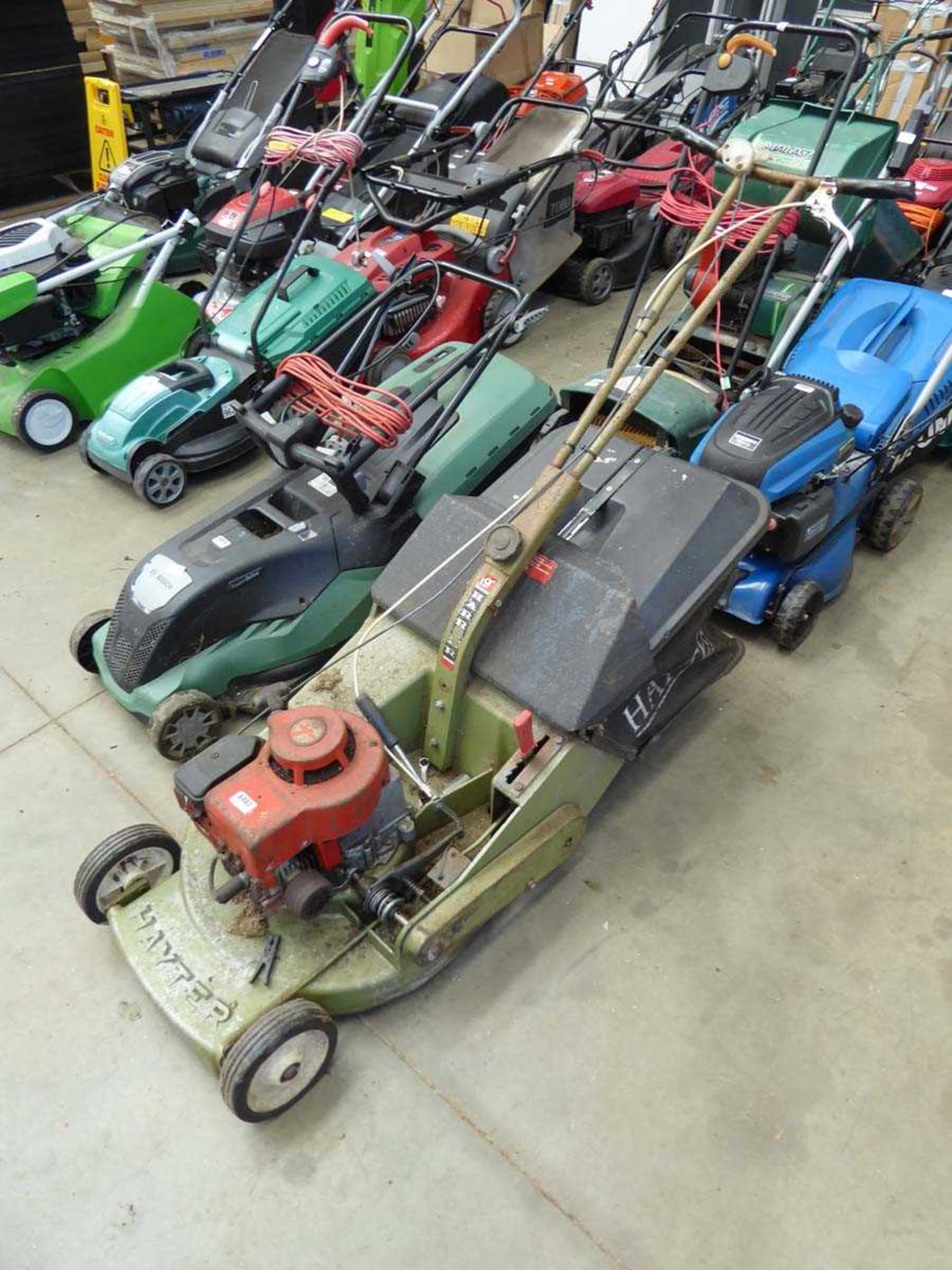 Hayter petrol powered rotary mower with grass box