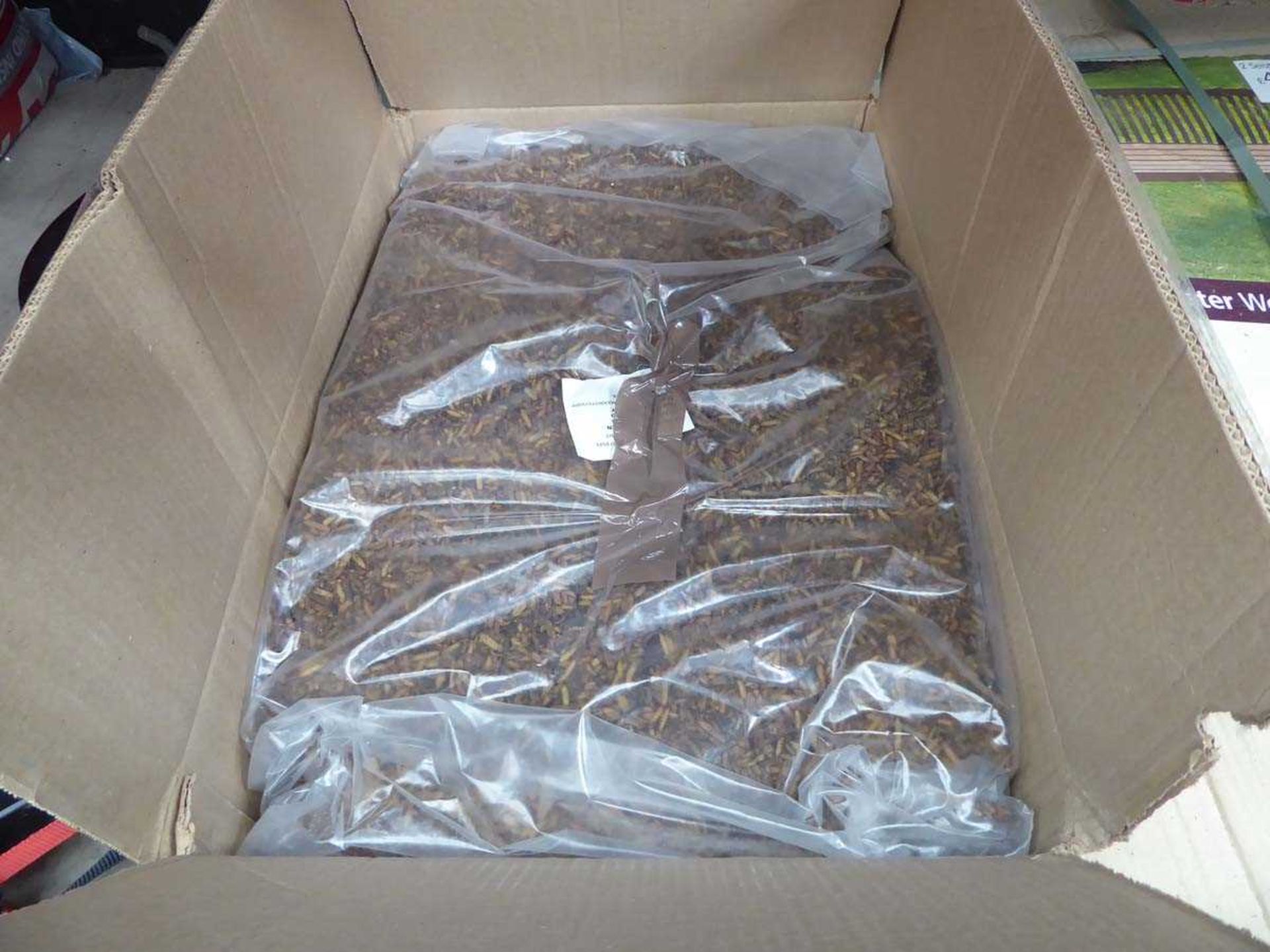 +VAT Box containing meal worms