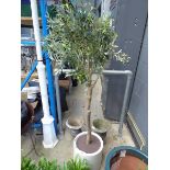 +VAT Artificial potted olive tree