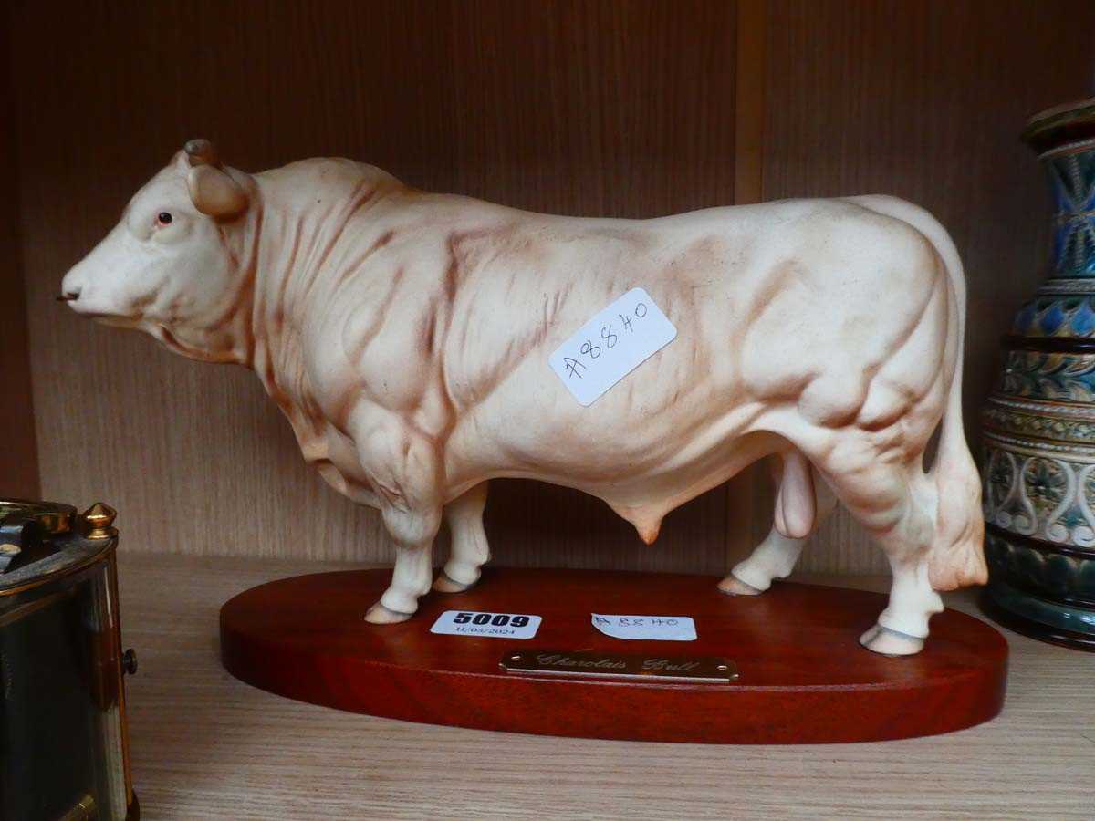 Ceramic model of a Charolais bull