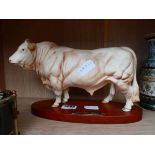 Ceramic model of a Charolais bull