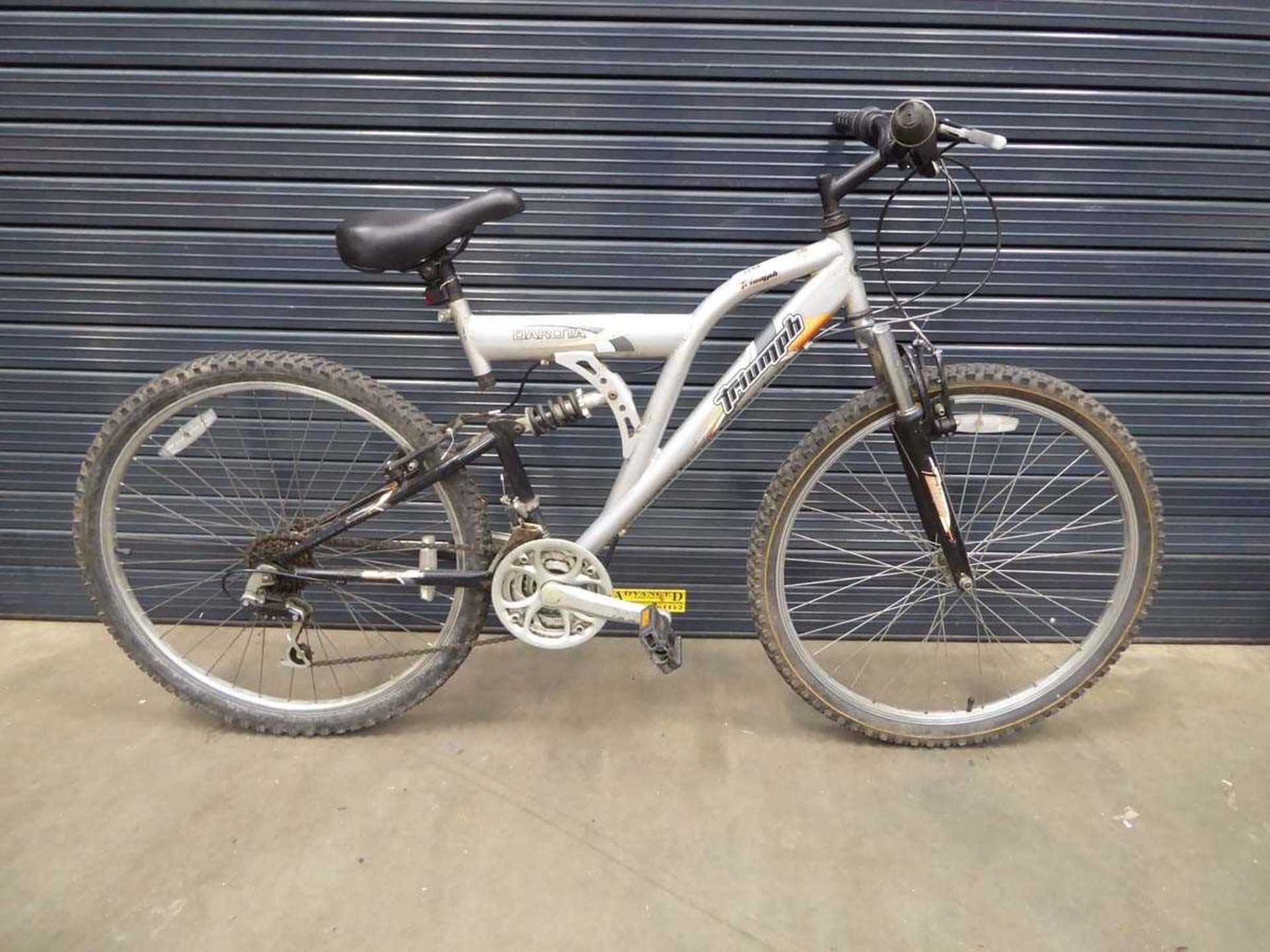 Triumph Dakota silver childs mountain bike