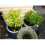 2 silver coloured plastic pots with plants