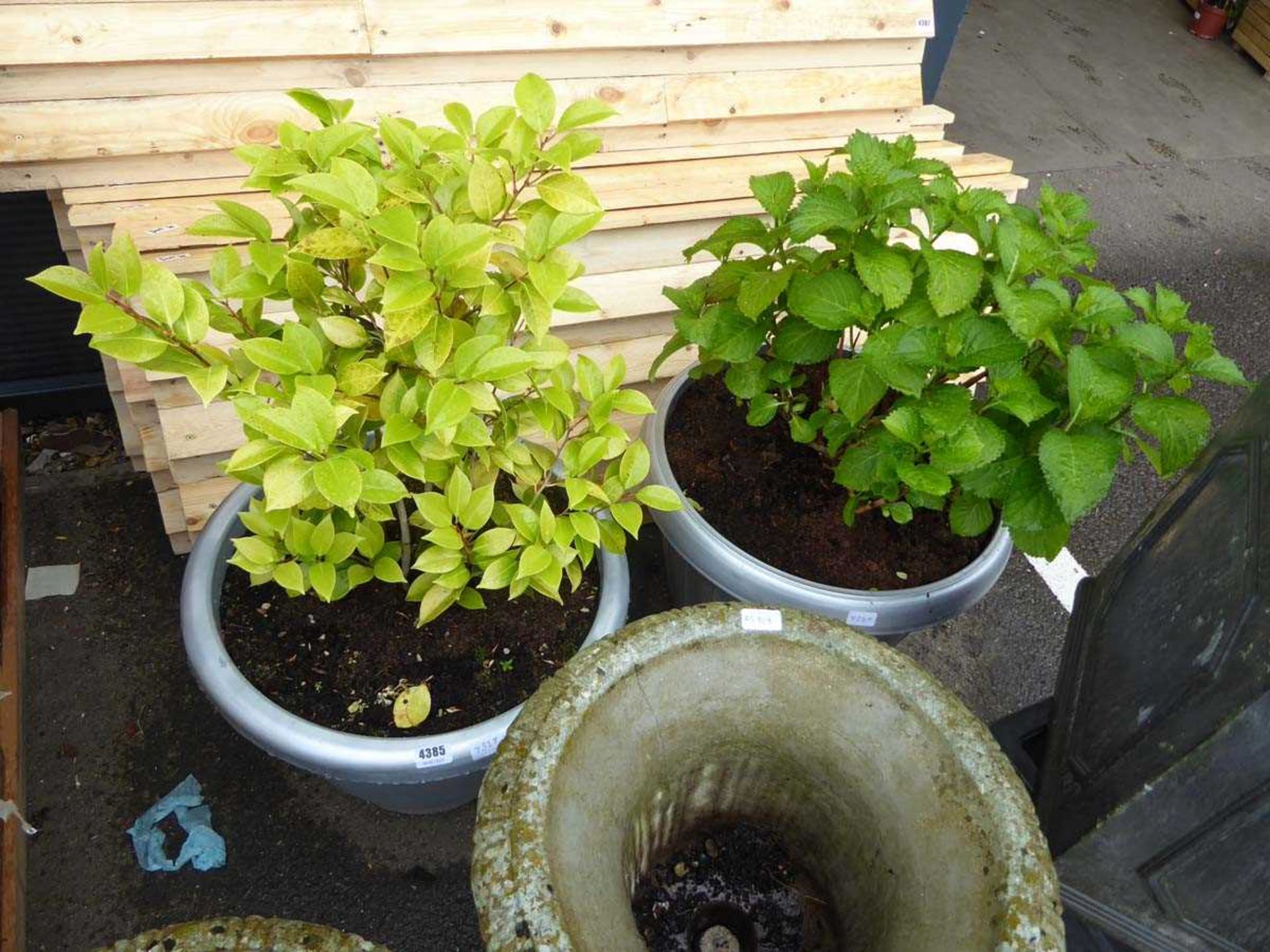 2 silver coloured plastic pots with plants