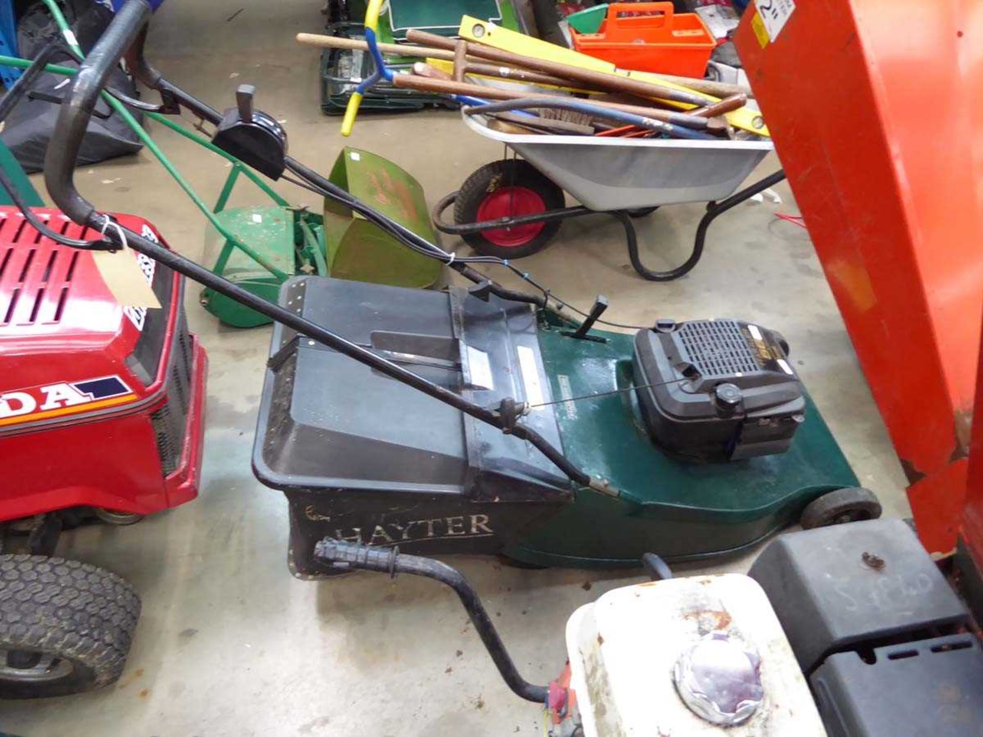 Hayter Harrier 56 petrol powered rotary mower with grass box