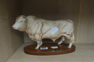 Ceramic model of a Charolais bull