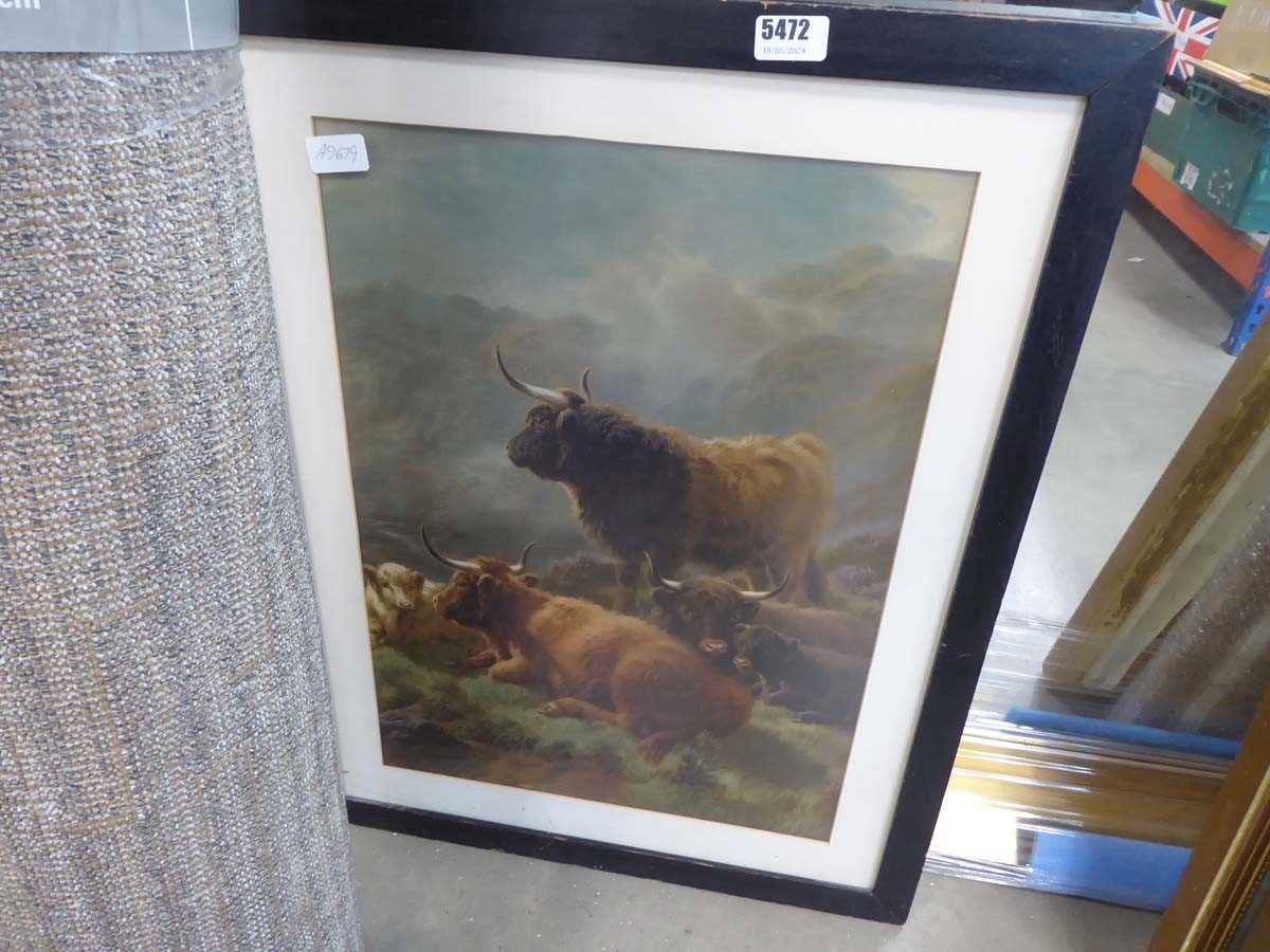 Framed print of Highland cattle