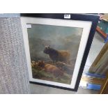 Framed print of Highland cattle
