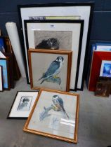 Quantity of prints to include study of a girl, kestrels and falcons and a city scape