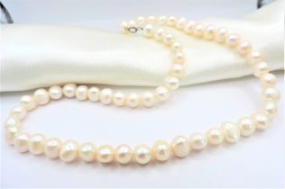 Single Strand Cultured Pearl Necklace Silver Clasp New with Gift Box