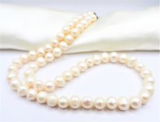 Cultured Pearl Necklace Silver Clasp New with Gift Box