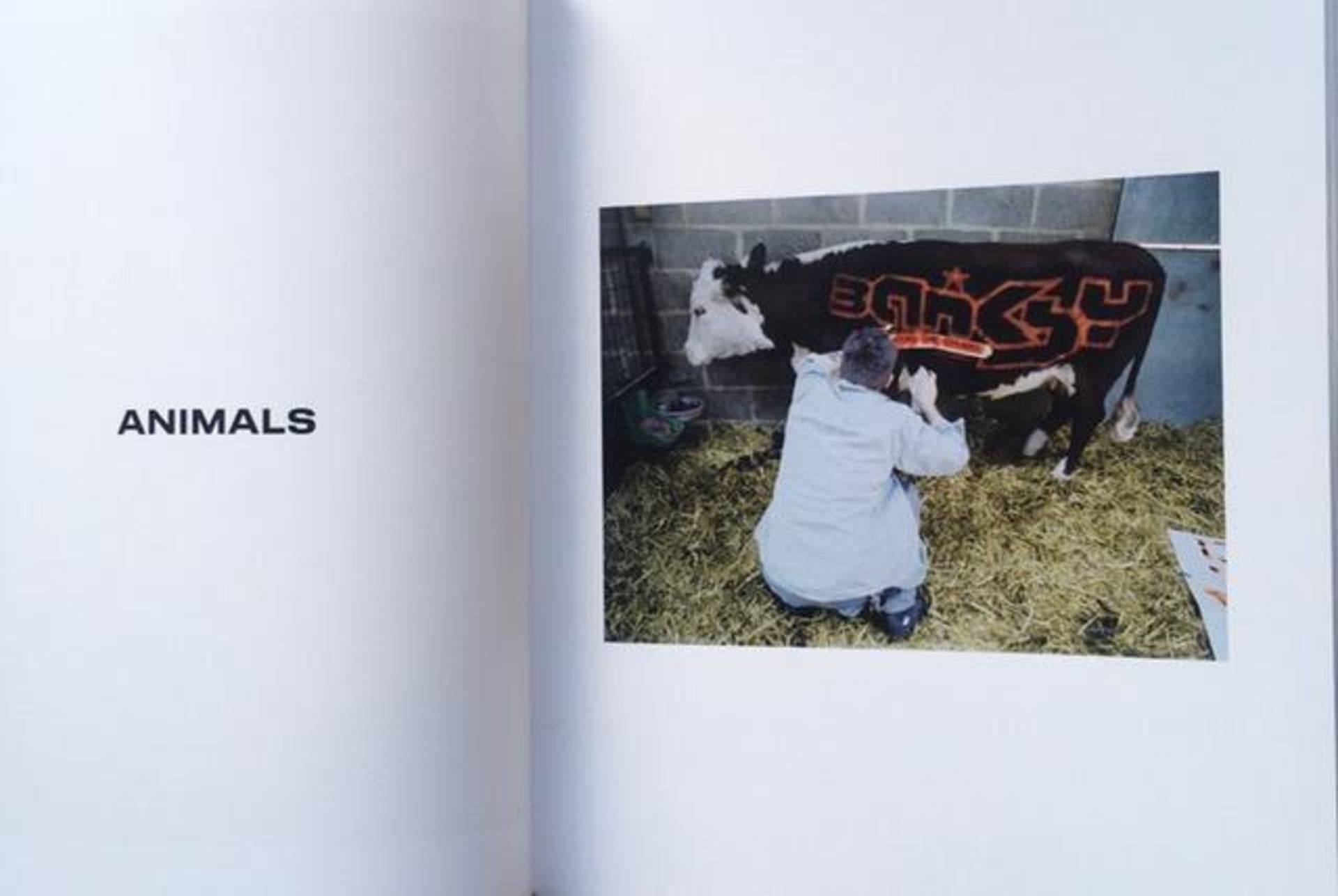 Banksy Captured, Vol 1 By Steve Lazarides, 1st Edition, Numbered 2954/5000, 256 Pages 2109, SOLD OUT - Image 9 of 15