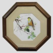 Bird Print Set in Octagonal Frame