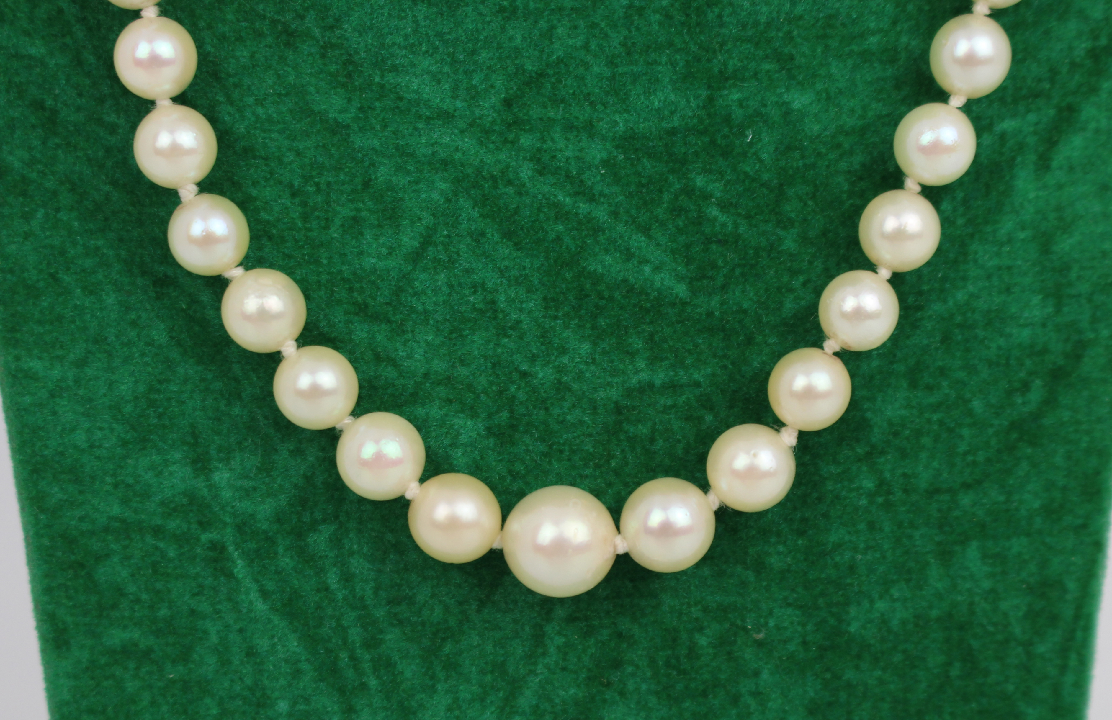 Cultured Pearl Necklace with 9ct Gold Clasp - Image 2 of 3