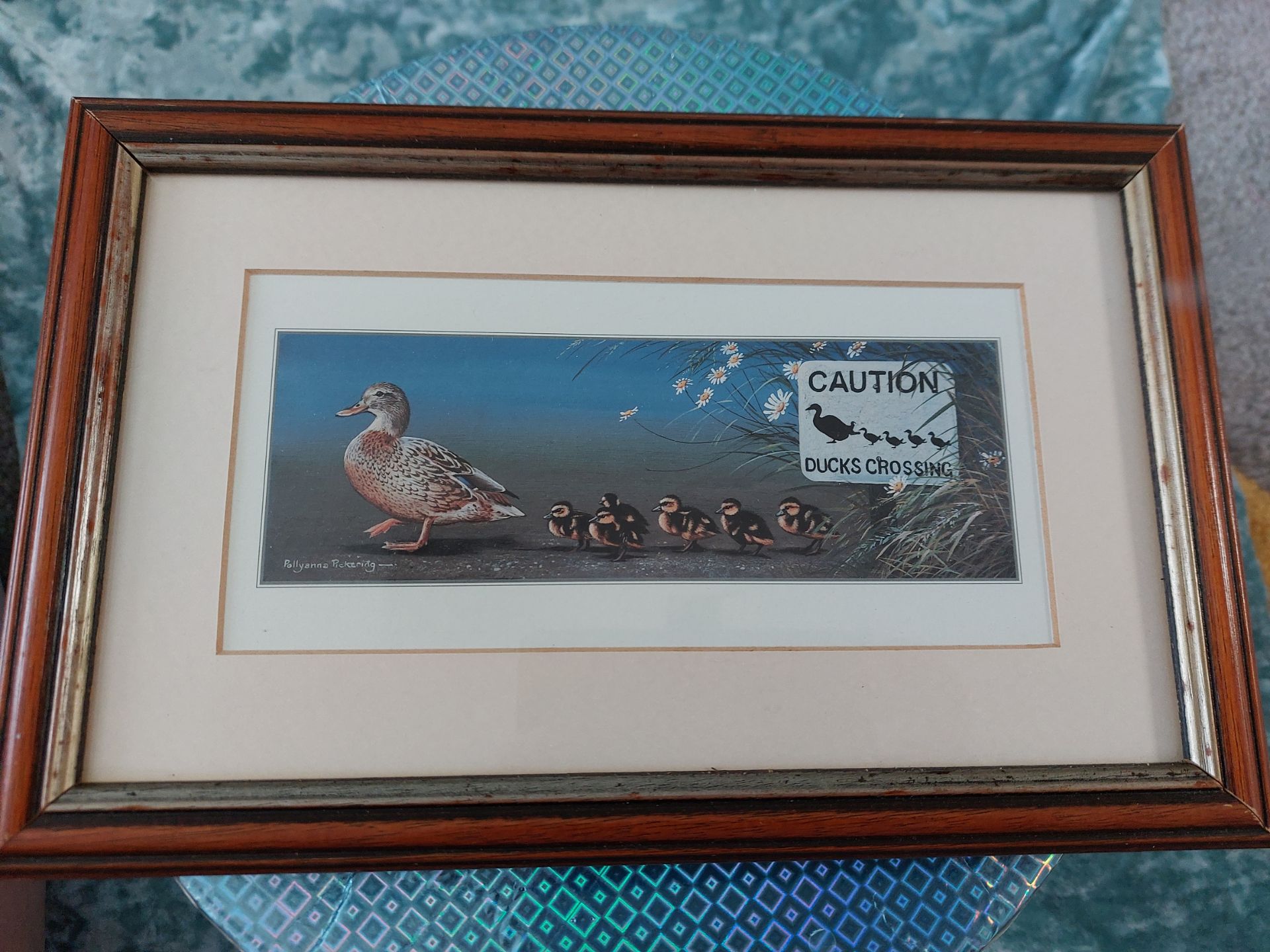 Framed Duck Picture