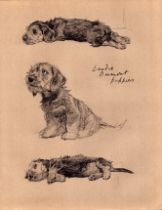 Cecil Aldin Vintage Dog Illustrations Dandie Dinmont Puppies-11.