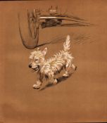 Cecil Aldin Original Antique Illustration Mac a White West Highland Terrier-18.