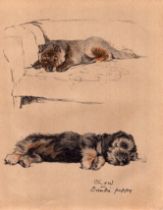 Cecil Aldin Vintage Dog Illustrations Chow & Dandie Puppy-1