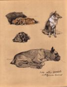 Cecil Aldin Vintage Dog Illustrations Pekes Collies German Boxer-16.