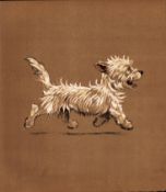 Cecil Aldin Original Antique Illustration Mac a White West Highland Terrier-22.