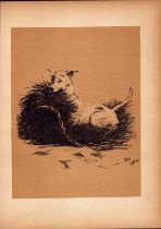 Cecil Aldin Antique Lovable Scamp Of a Terrier illustration A Dog Day -14.