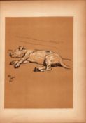 Cecil Aldin Antique Lovable Scamp Of a Terrier illustration A Dog Day -22.