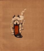 Cecil Aldin Original Antique Illustration Mac a White West Highland Terrier-13.
