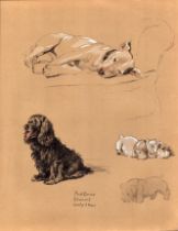 Cecil Aldin 1934 Vintage Dog Illustrations Bull Terrier & Spaniel-24.