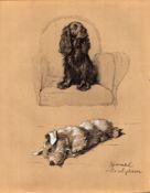 Cecil Aldin Vintage 1934 Dog Illustrations Spaniel & Sealyham-8.