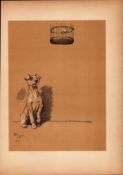 Cecil Aldin Antique Lovable Scamp Of a Terrier illustration A Dog Day -10.