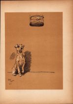 Cecil Aldin Antique Lovable Scamp Of a Terrier illustration A Dog Day -10.