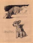 Cecil Aldin Vintage Dog Illustrations Irish Wolfhound & Wire Haired Terrier-3.