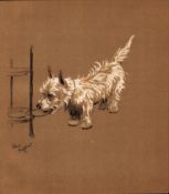 Cecil Aldin Original Antique Illustration Mac a White West Highland Terrier-16.