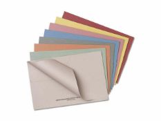 10 Boxes of 25 x Premier Team Stronghold Probate Pocket File 315gsm