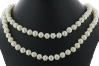 36 Inch Freshwater Cultured 7.0 - 7.5mm Pearl Necklace