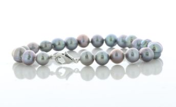Freshwater Cultured 7.0 - 7.5mm Pearl Bracelet With Silver Plated Clasp