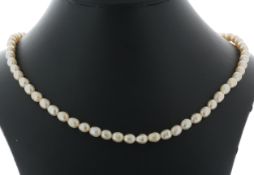 18 Inch Freshwater Cultured 4.5 - 5.0mm Pearl Necklace With Brass Clasp