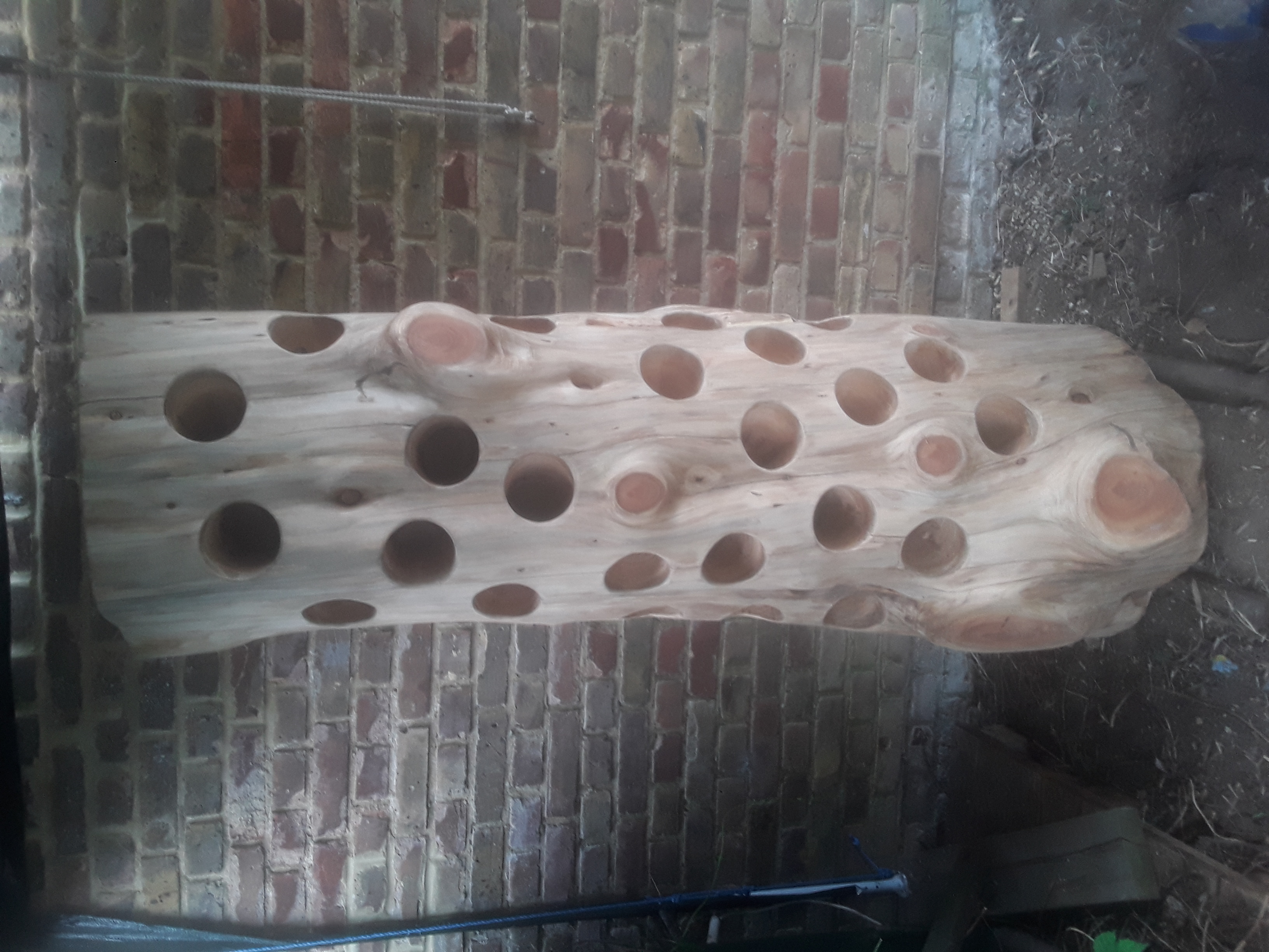 Handcrafted, Bespoke Champagne / Wine Rack. Made From Sustainably Sourced Spruce Tree Trunk. - Image 4 of 8