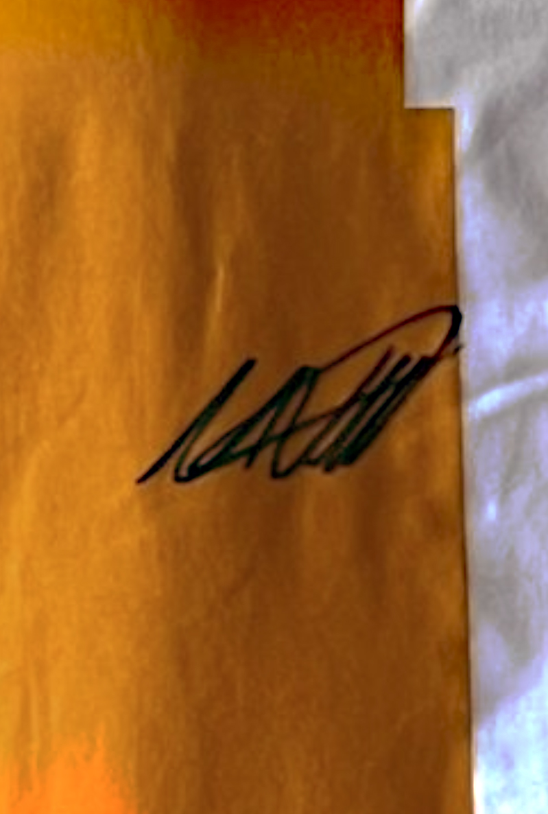 Unique Rare Original Max Verstappen Red Bull Polo-Shirt NL Hand-Signed (#0782) - Image 3 of 3