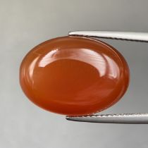 10.85 Cts Natural Carnelian Agate Cabochon