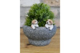 Dog Trough Planter/Trinket