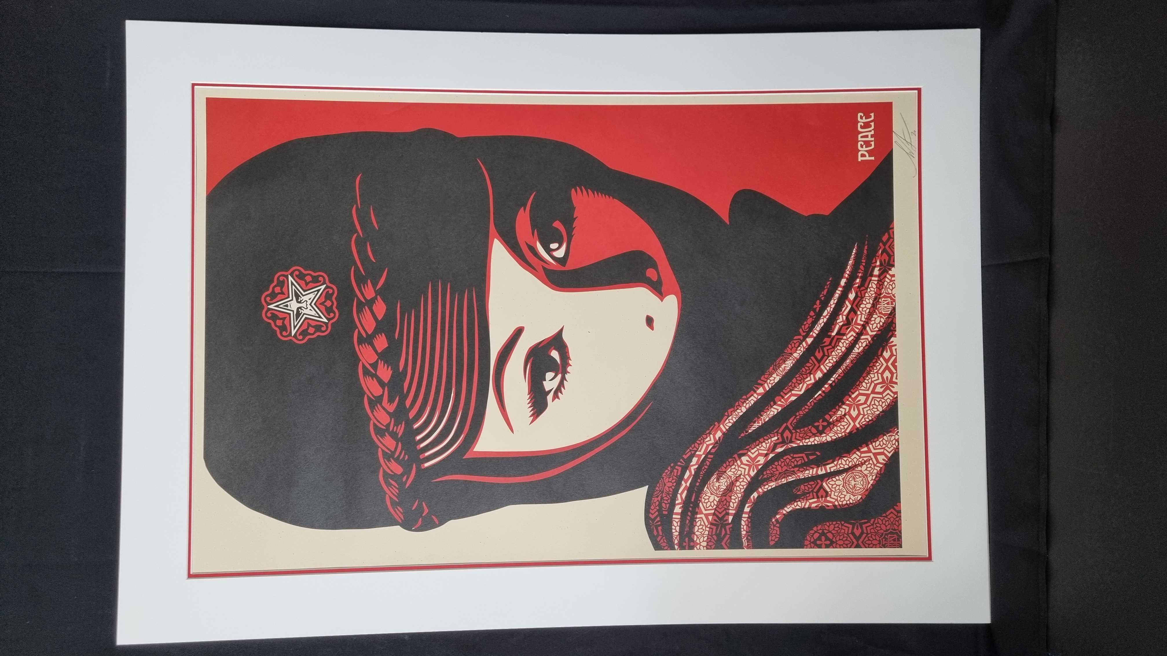 Shepard Fairey Signed Lithograph.